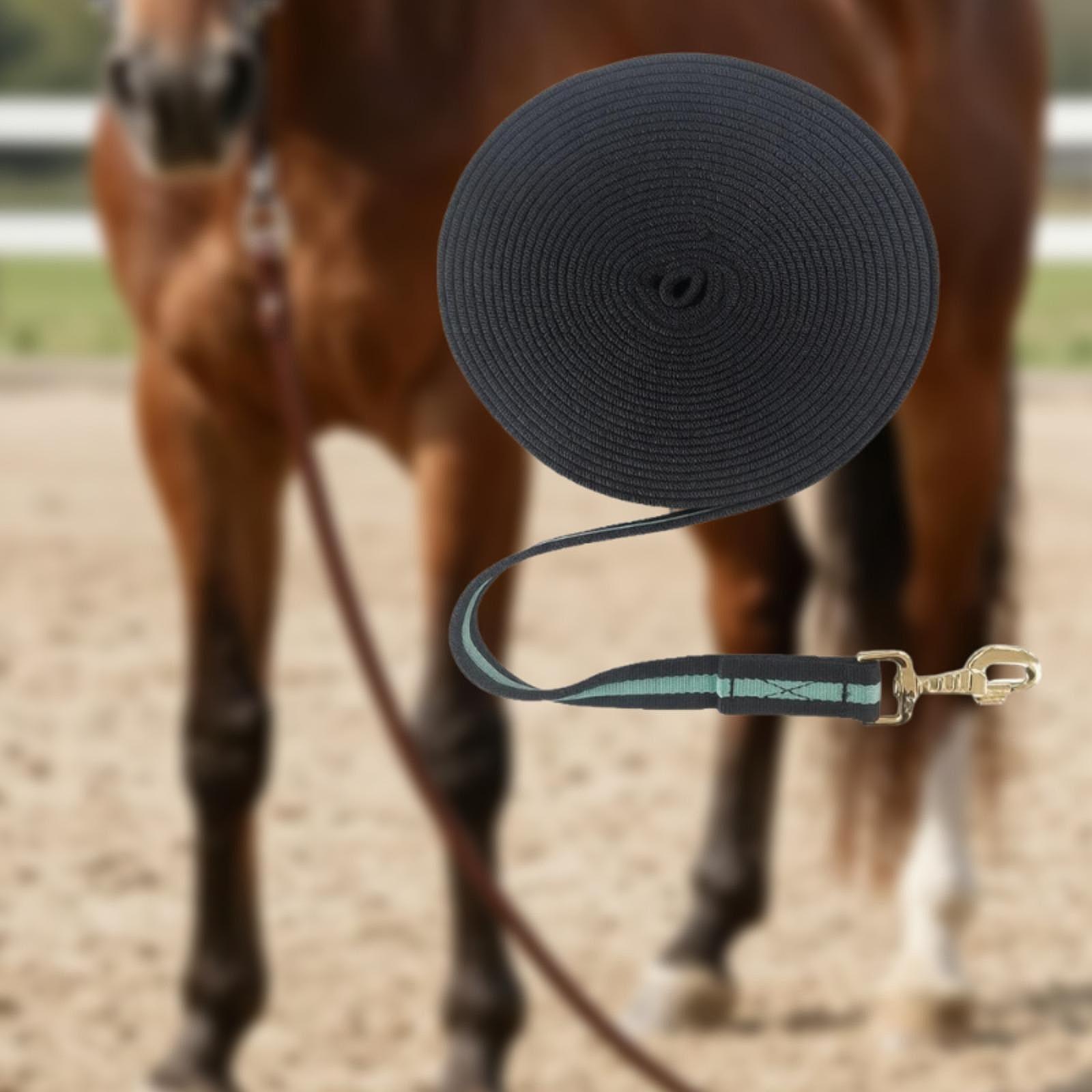 Corda Lunga per Addestramento  - Lunge Line Horse recensione e prezzo