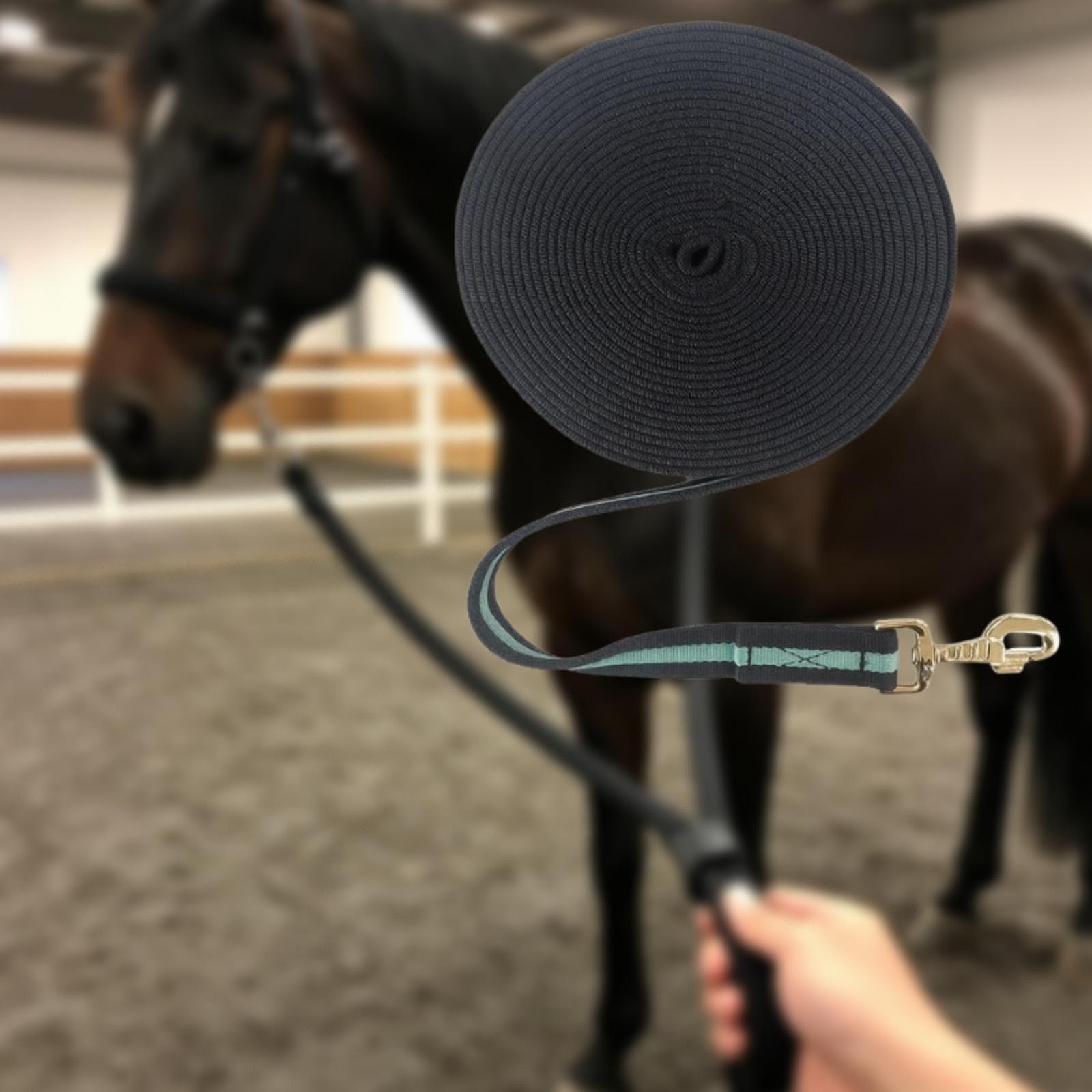 Corda Lunga per Addestramento  - Lunge Line Horse recensione e prezzo