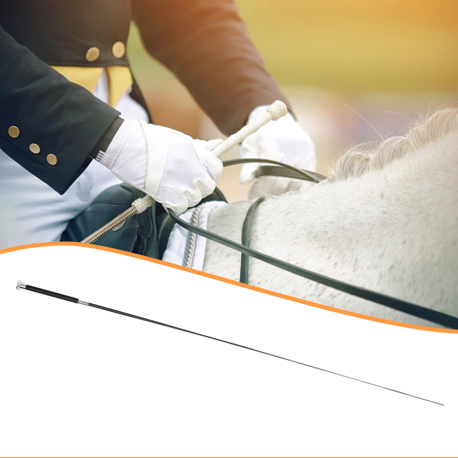 Frusta Regolabile in Metallo e - Riding Crop Dressage recensione e prezzo